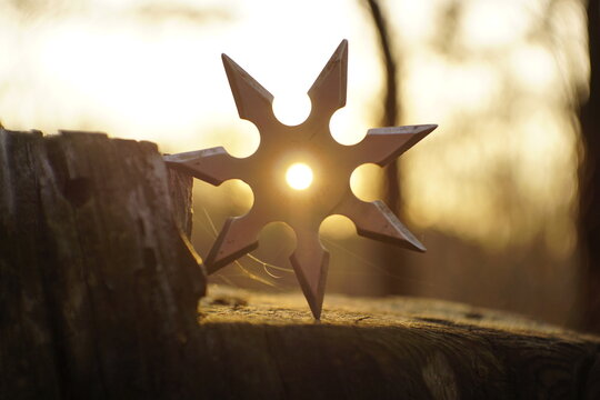A shining shuriken pierced by the light of the sunset Among the forest greenery