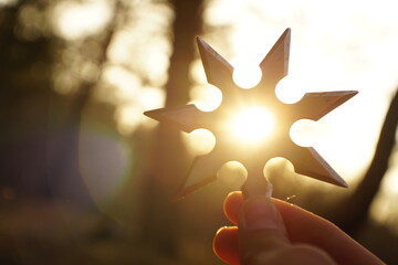 A shining shuriken pierced by the light of the sunset Among the forest greenery