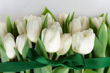 bouquet of white tulips