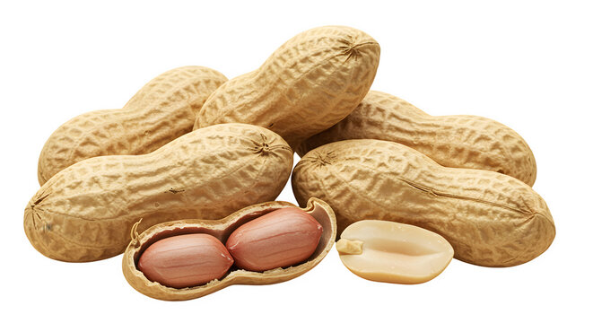 Peanuts, PNG, Transparent, No background, Clipart, Graphic, Illustration, Design, Nuts, Groundnuts, Legumes, Peanuts icon, Roasted peanuts, Snack, Nutritional, Protein, Healthy snack