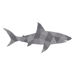 Simple polygonal shark profile
