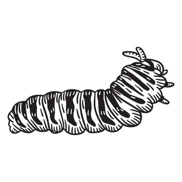 Walking hand drawn caterpillar