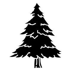 Obraz premium Pine tree cut out
