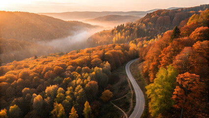 Golden autumn forest road bathed in sunrise light
