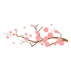 Sakura branch with flowers flat © Vexels