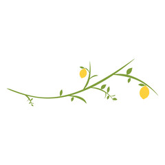 Lemon tree branch flat