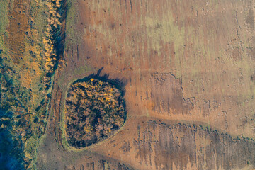 Aerial top down view of circular copse of trees in dry brown field with textured soil and long shadows. Autumn landscape pattern and nature background.