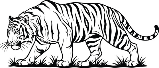 “Wild Tiger Outline Artwork – Detailed Monochrome Striped Cat Illustration”
