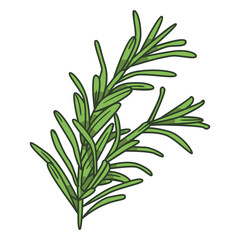 Beautiful stem with leaves color stroke