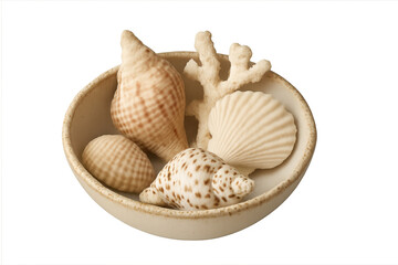Seashells and coral decorative bowl collection