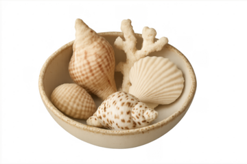 Seashells and coral decorative bowl collection