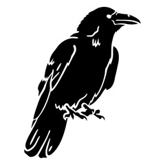 Naklejka premium Crow standing cut out