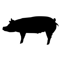 Pig profile silhouette