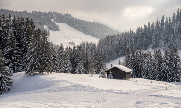 Winter cabin in snowy alpine forest landscape