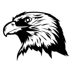 Obraz premium Bird eagle animal head