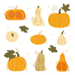 Set of pumpkins. A cute, hand-drawn set of various pumpkins, gourds, and squash varieties in warm autumn colors. Perfect for fall harvest, Halloween, and Thanksgiving designs. Vector