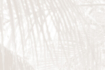 Cloud dancer color palm leaf blur. Monocrome texture 2026. Color of the year.
