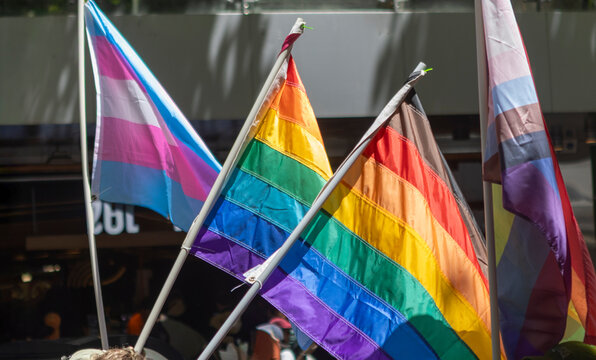 Colorful pride flags under sunny skies