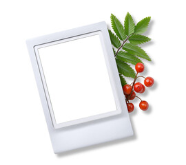 Instant photo frame with red rowan berries and green leaves isolated on transparent background for decoration
