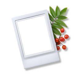 Instant photo frame with red rowan berries and green leaves isolated on transparent background for decoration