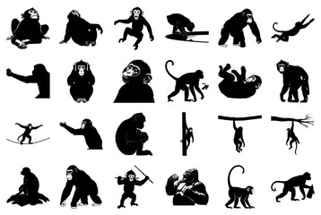Collection of Monkey and Ape Silhouettes in Action Keywords: monkey, silhouette, ape, primate