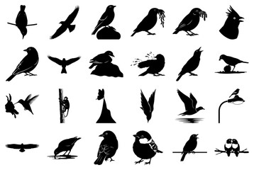Diverse Collection of Bird Silhouettes in Various Poses
