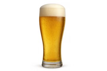 Glass of refreshing golden lager beer with white foam head, sparkling bubbles, and condensation, transparent background