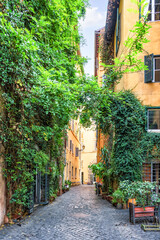 Charming narrow street in Rome, Italy, lined with lush greenery and vibrant plants, showcasing the beauty of Italian architecture and urban life