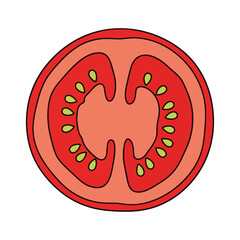tomato vegetable slice vector illustration