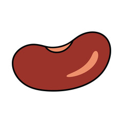 kidney bean vector illustration