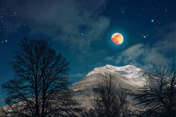 Full moon and abstract stars sky in winter forest landscape.