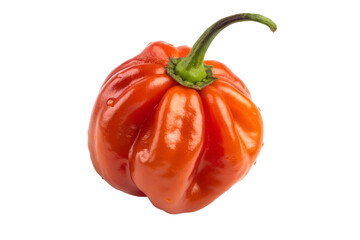 Red Habanero Pepper Fresh Whole Isolated on White &ndash; Hot Chili Pepper Macro Studio Photo