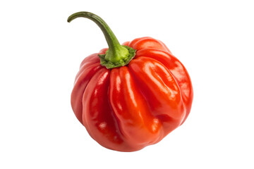 Scotch Bonnet Pepper Red Fresh Whole Isolated on White &ndash; Caribbean Hot Chili Macro Photography