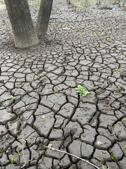 Dry and broken grey soil background