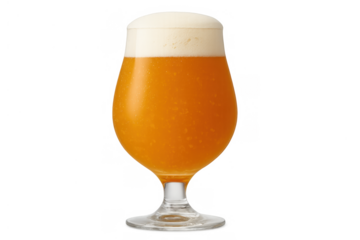 Craft beer glass with frothy head and orange liquid, showing a refreshing alcoholic beverage