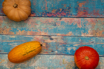 Flat lay of colorful pumpkins and squash on a rustic blue wooden table with peeling paint and copy space