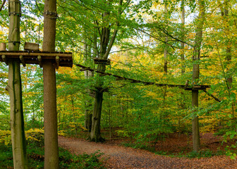 Kletterwald in Hoxfeld NRW. Baumkronenpfad im Wald f&uuml;r sportlich aktive