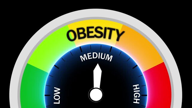 Obesity Level Gauge With Medium Reading meter indicator