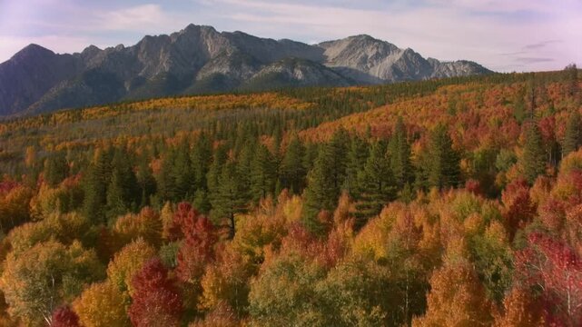 A breathtaking autumn landscape featuring vibrant trees and majestic mountains under a clear sky. The image captures the essence of fall's beauty Stock Video
