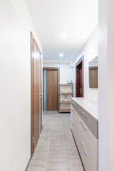 Modern Home Interior With Wooden Door, Cabinets, and Closet Space. Entrance Hall, Hallway, Corridor.