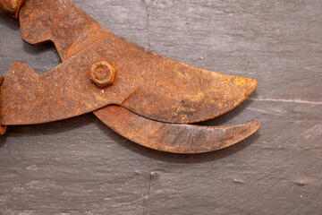 Macro shot of the rusty metal blades and hinge of vintage garden shears. Detailed texture of corrosion and age