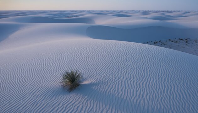 Vast white sand dunes with wind-swept ripples and a solitary yucca plant create a serene and minimalist desert landscape under a soft, clear sky at twilight - Powered by Adobe