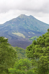 nature, summer, spring, greenery, sunny day, the arrival of summer, grass, trees, view, without people, relaxation, silence, outside the city, peace, the most beautiful, flora,

