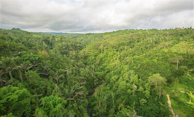 nature, summer, spring, greenery, sunny day, the arrival of summer, grass, trees, view, without people, relaxation, silence, outside the city, peace, the most beautiful, flora,

