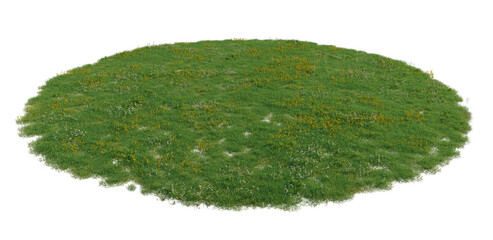Green meadow with white and yellow wildflowers ground cover premium nature PNG Cutout