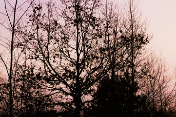 Uroczysko Łódź Port Lotniczy Łódź Park © Justyna