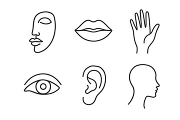 Set of minimalist line art illustrations featuring abstract human faces, body parts, and sensory organs like an eye, ear, lips, and hand, drawn in a simple, modern continuous line style