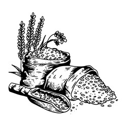 Paddy and Rice Hand Drawn⁠
