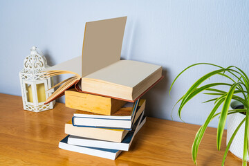 Pile of books on a cabinet from a 3/4 above view with a spider plant and a lantern candle holder, idea of book reading library activity 
