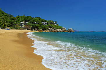 nature, summer, spring, greenery, sunny day, the arrival of summer, grass, trees, view, without people, relaxation, silence, outside the city, peace, the most beautiful, flora,

